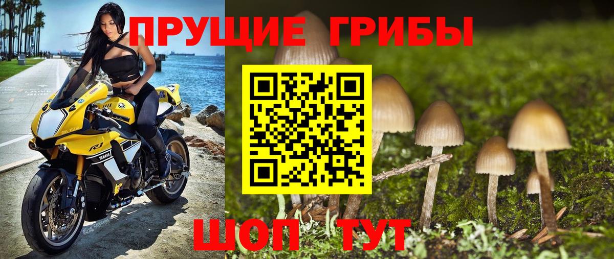 Галлюциногенные грибы Psilocybine cubensis  Вход с VPN  продажа наркотиков  Гай 